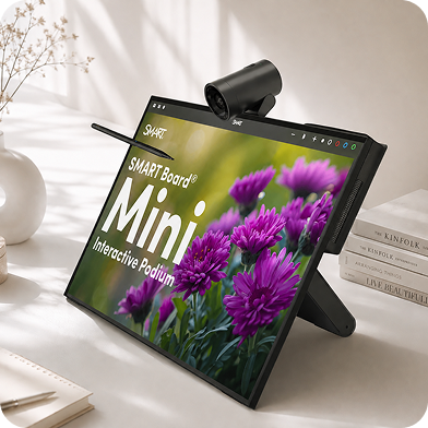 Interactive Displays